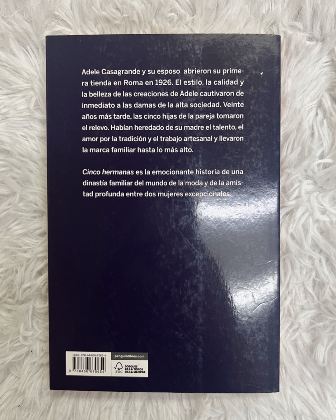 Libro”Cinco hermanas-Cinzia Giorgio”