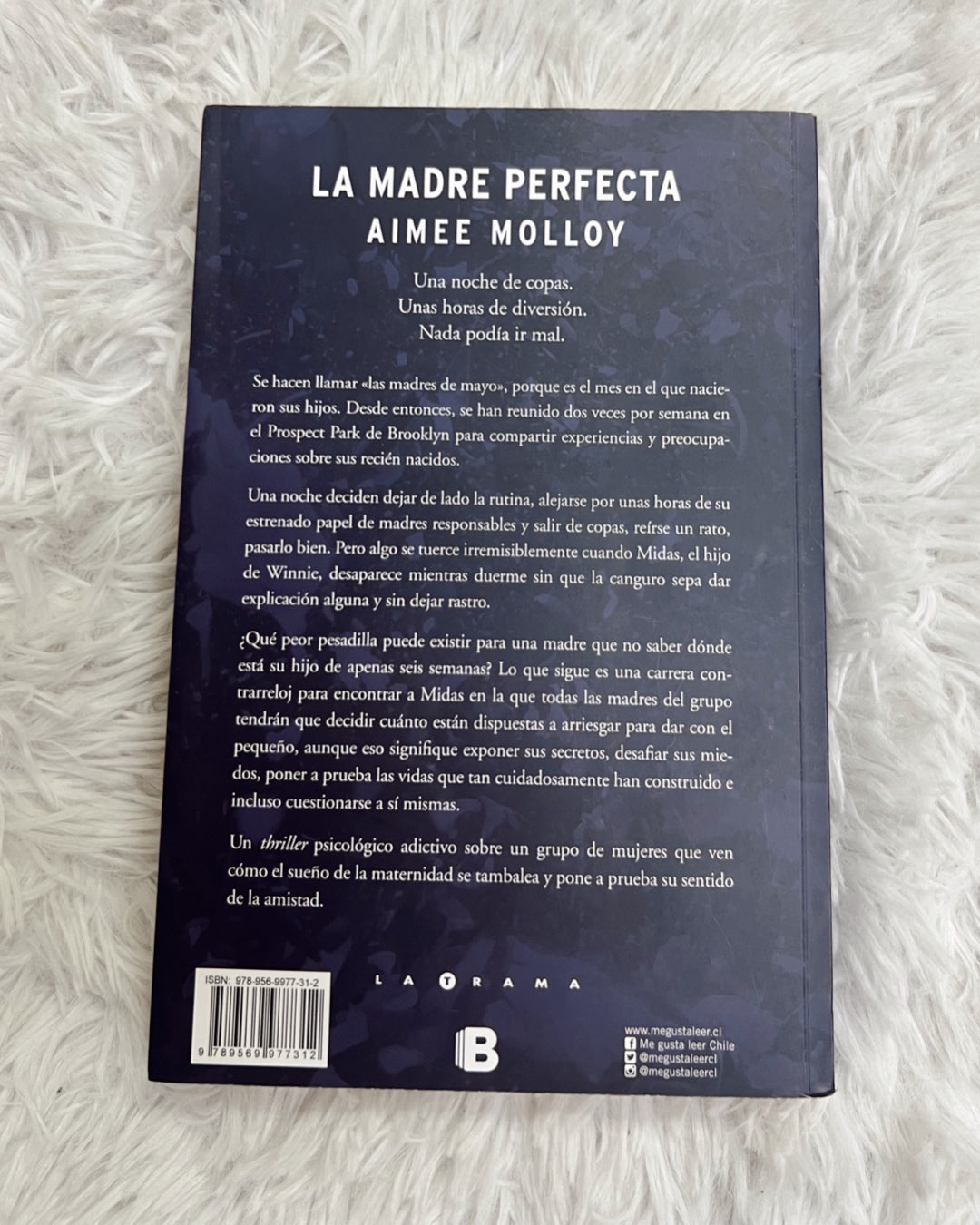 Libro “La madre perfecta-Aimee Molloy”